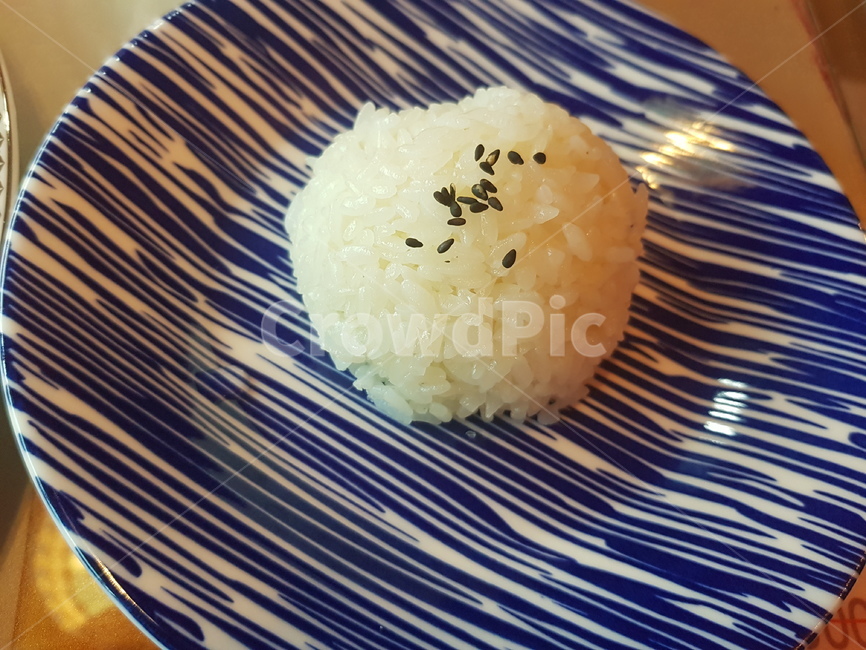 food,식품,계란,밥,접시,음식,식재료,요리,food,cook,meal,dishes,food reserves