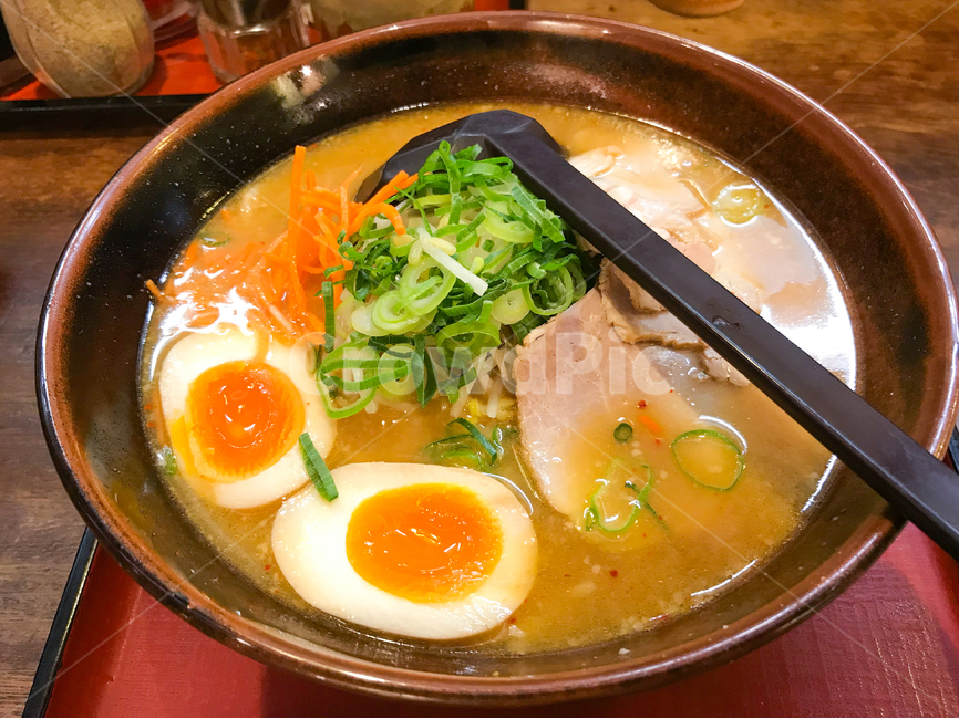 food,라멘,음식,ramen,요리,식사,일식,맛집,계란,면,dish,국물,따뜻한요리,그릇,점심,저녁,오사카,일본,음식,식재료,요리,food,cook,meal,dishes,food reserves