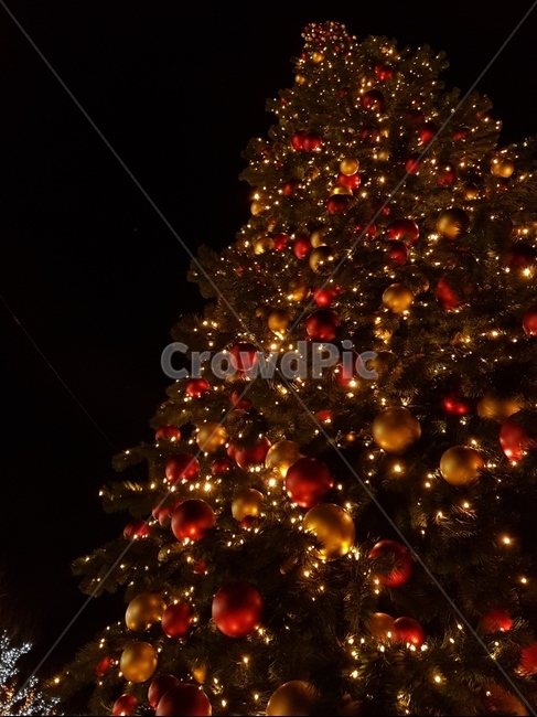 크리스마스,크리스마스트리,트리,조명,나무,tree,christmastree,christmas,겨울,winter