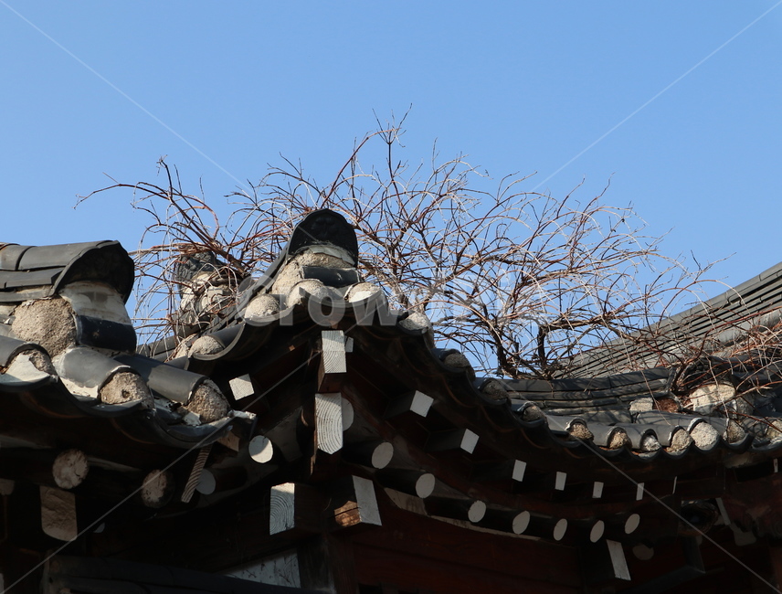 한옥,기와,지붕,전통,북촌,한국전통,한국문화,korean traditional,korean culture,건축물,건물외관,exterior,building,structure,architecture,construction