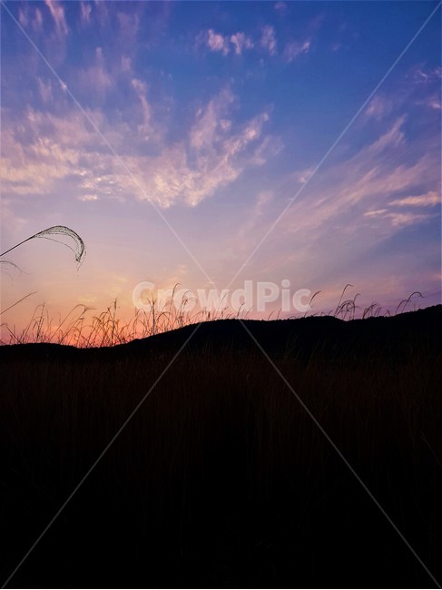 풍경,산,landscape,구름,하늘,sky,cloud,mountain,햇빛,자연,풍경,nature,landscape,plant,식물,grass,잔디,outdoors,옥외