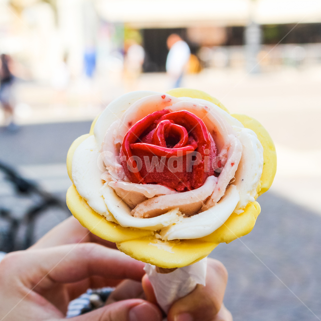 젤라또,아이스크림,장미,꽃,여름,콘아이스크림,icecream,gelato,음식,식재료,요리,food,cook,meal,dishes,food reserves,디저트,간식,후식,dessert,snack