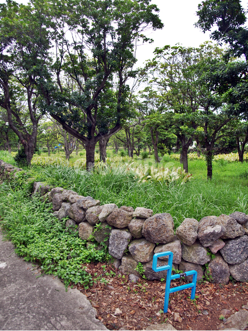 간세,돌담,서귀포,올레6코스,올레길,제주,제주도,jeju,jeju island,rubble,파편,wall,벽