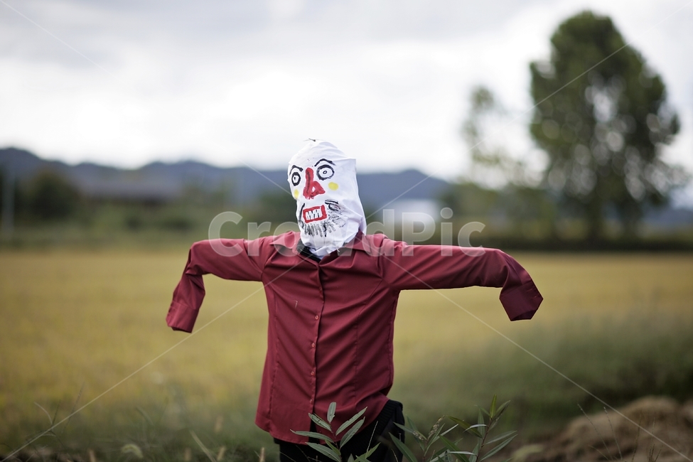 허수아비,가을,들판,scarecrow,시골,시골,마을,풍경,landscape,country,rural,town,흑백,모노톤,monochrome,black and white,산업,industry,industrial,농업,농사,agriculture,farming,farming industry