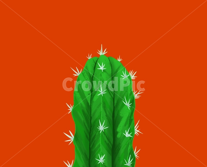 선인장,선인장일러스트,식물,여름,사막,초록,일러스트,그림,가시,시원한,자연,열대,plant,cautus,nature,summer,drawing,illustration,sketch,green,desert