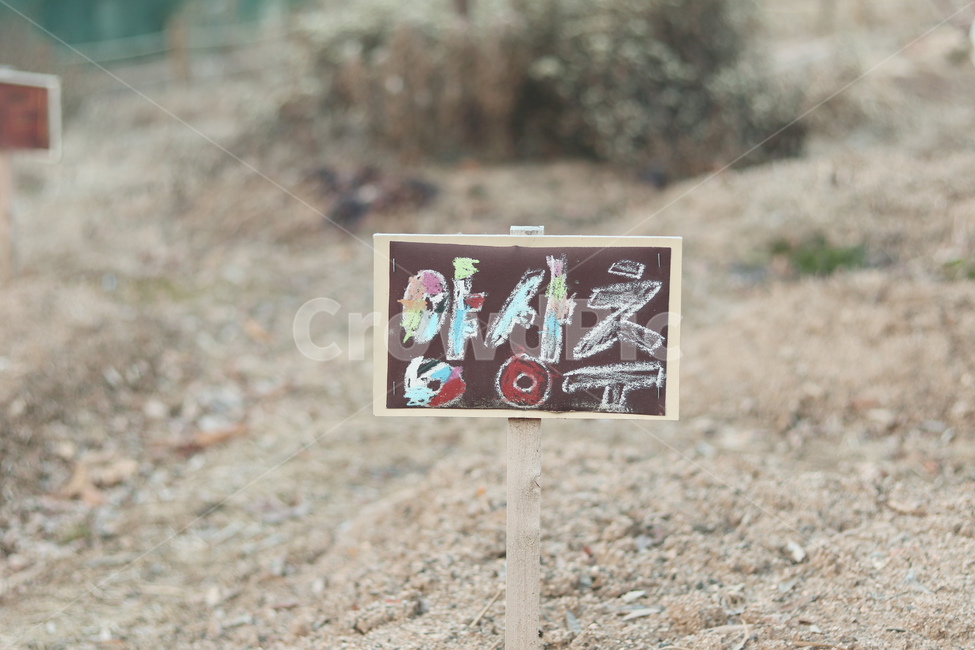 흙길,도로,road,양상추,텃밭,나무막대,표지판,농장