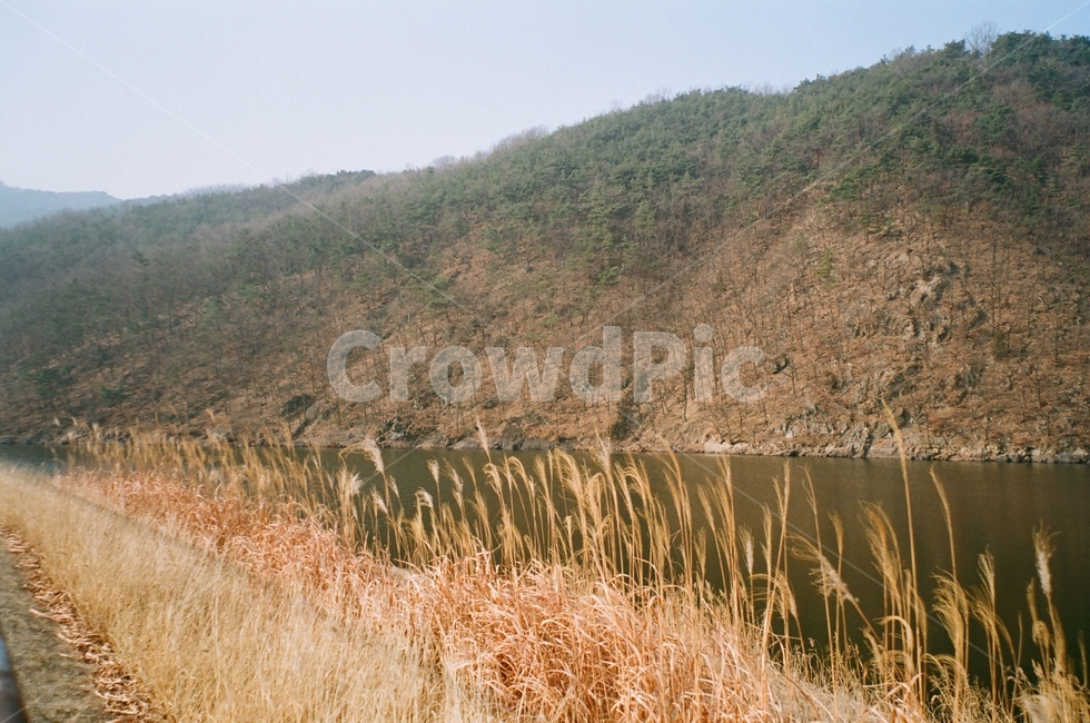 공원,가을,갈대,산책,외로움,고요함,아침,가을,계절,fall,autumn,season,자연,풍경,nature,landscape,grass,잔디,plant,식물,outdoors,옥외