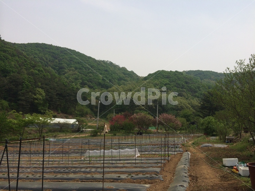 mountain valley,spring,countryside scenery,weekend farm,farming