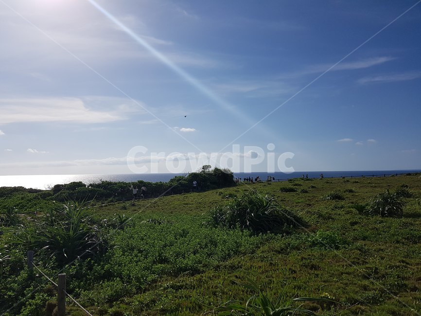 잔디,만좌모,햇살,오키나와,잔디밭,하늘,바다,grass,sky,sea,sunshine,okinawa,ocean