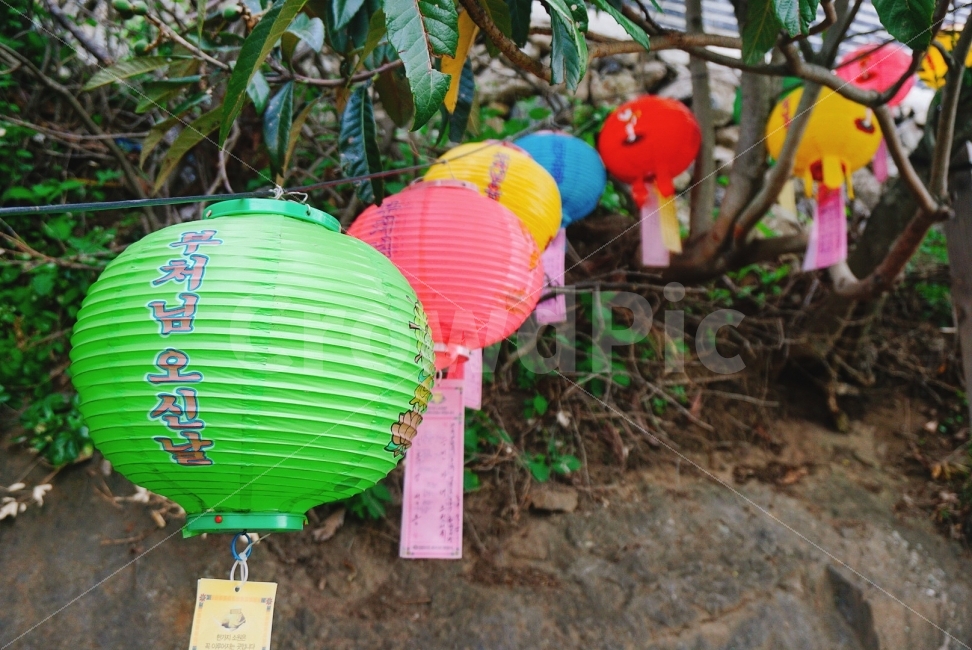 여행,travel,여행사진,국내여행,혼자여행,사진,여수,여수여행,배경사진,배경,이쁜사진,색감,색감좋은사진,향일암,부처님오신날,등불,불교,소원,한국전통,한국문화,korean traditional,korean culture,종교,신앙,religion,belief,faith