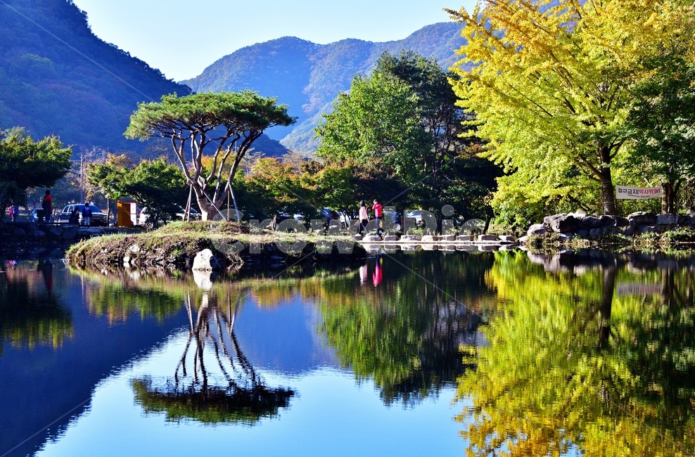 전남,장성,백양사,봄,연못,nature,자연,outdoors,옥외,water,물,human,인간,person,사람,자연,풍경,nature,landscape