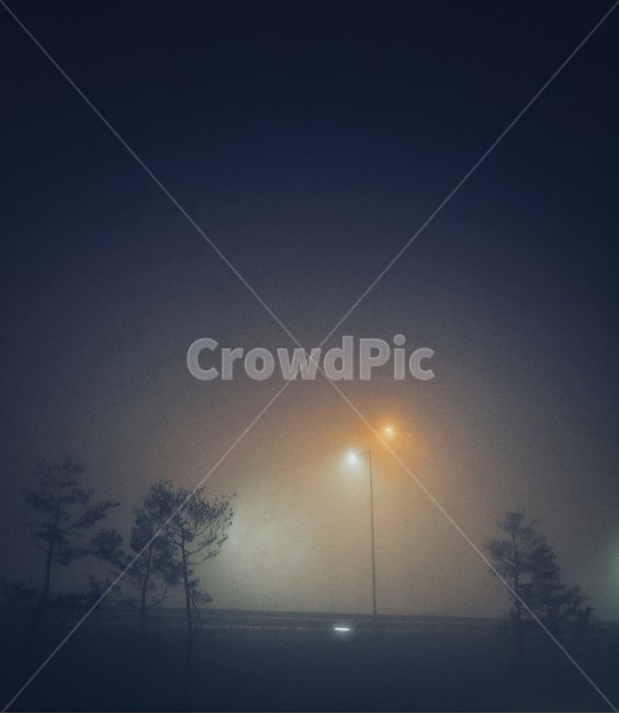 nature,자연,weather,날씨,안개,fog,mist,나무,tree,밤,night,새벽,dawn,가로등,streetlamp,streetlight,가로등불빛