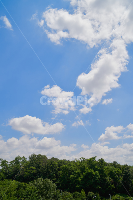 구름,하늘,나무,자연,배경,풍경,빛,sky,tree,nature,cloud,자연,풍경,nature,landscape,outdoors,옥외,azure sky,푸른 하늘
