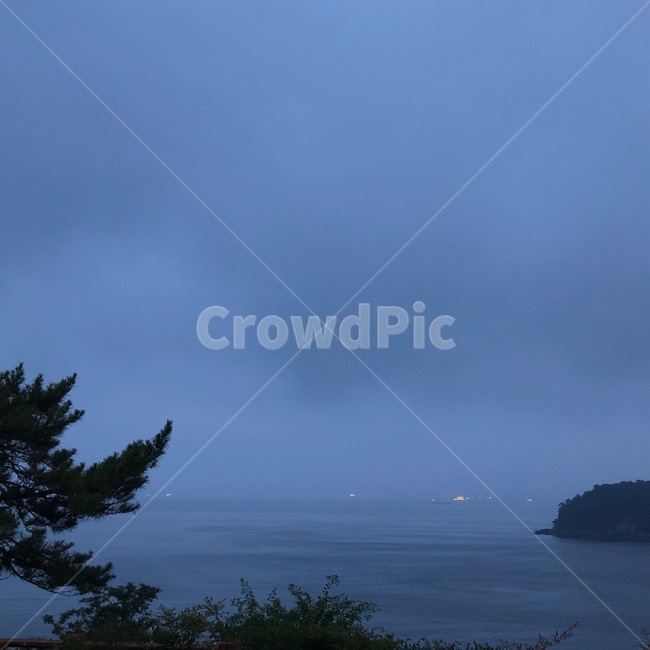 하늘,바다,나무,sky,sea