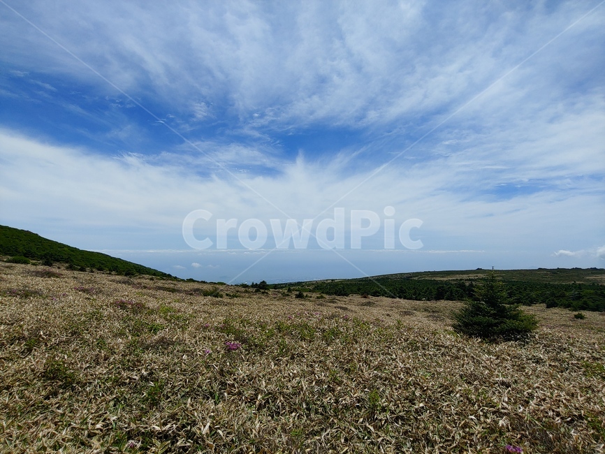 하늘,산,구름,들판,풍경,mountain,sky,clouds,green,초록,등산,한라산,배경,바위,rock,stone,tower
