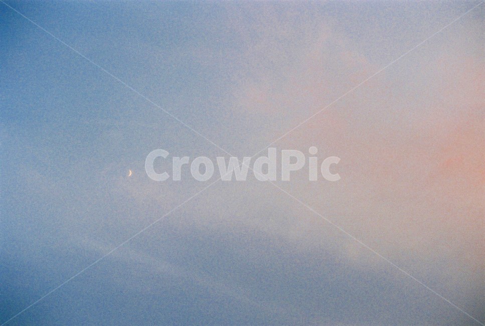 하늘,노을,달,초승달,일몰,손톱달,sky,sunset,moon,필름사진,초저녁,필름,자연,풍경,nature,landscape,야경,밤,nightscape,night,감성,sensible,feeling,색깔,색상,색채,색감,color sense,color sensitivity,feeling of color,flock,대군,animal,동물