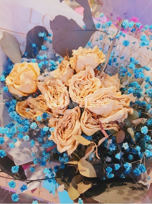꽃,장미,안개꽃,꽃다발,드라이플라워
