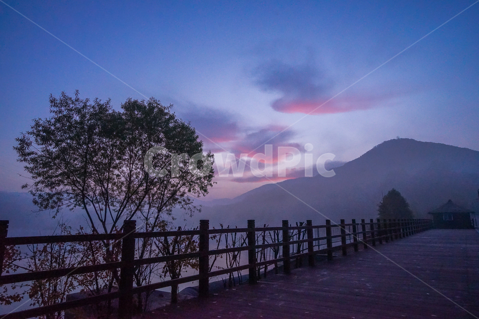 일출,여명,호수,나무,산,구름,하늘,안개,물안개,자연,풍경,nature,landscape,railing,난간,banister,handrail