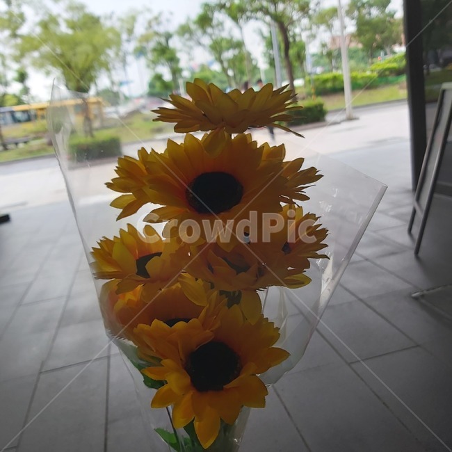 해바라기,꽃다발,꽃,바닥,식물,flower,plant,야외,야외꽃
