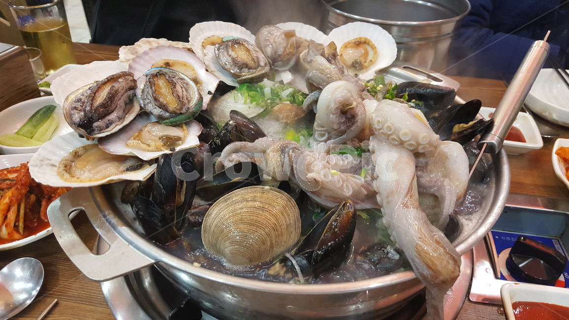 조개,해양생물,clam,cutlery,seashell,해물탕,문어,낙지