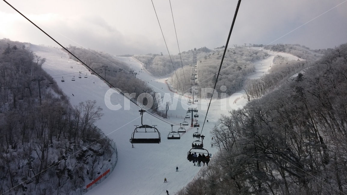 케이블카,transportation,교통,vehicle,차량,cablecar,겨울,운동,스포츠,겨울,계절,winter,season