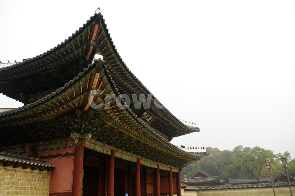 창덕궁,돈화문,고궁,건축,전통건축,traditional,전통,단청,기와지붕,한국전통,한국문화,korean traditional,korean culture,랜드마크,landmark,tourist attraction,한국랜드마크,한국관광지,한국명소,korea landmark,korea tourist attraction,건축물,건물외관,exterior,building,structure,architecture,construction