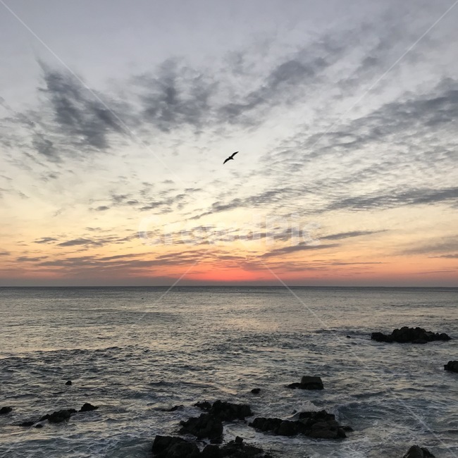 새해,해돋이,바다,하늘,구름,sea,sky,cloud,1월1일