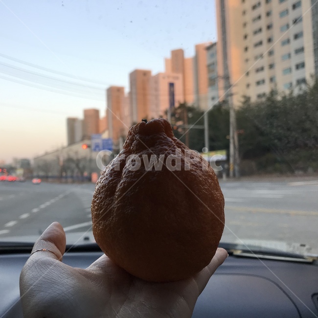과일,과일식,자연식,채식,fruit,생식,한라봉,제주,음식,식재료,요리,food,cook,meal,dishes,food reserves,과일,열매,fruit