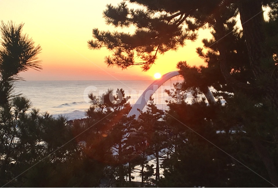 일출,새해,소나무,풍경,태양,해,강릉,1월1일,sunset,landscape,동해바다,강문해변,바다,파도,자연,풍경,nature,landscape,outdoors,옥외,sky,하늘,일몰,red sky,붉은 하늘,dusk,황혼,dawn,새벽,sunlight,햇빛