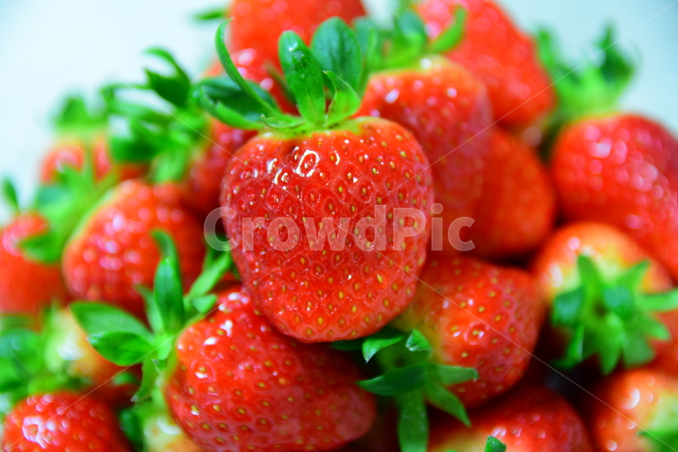 딸기,꼭지,접사,클로즈업,빨강,탐스러운,맛있는,식재료,음식,과일,채소,closeup,strawberry,fruits,제철