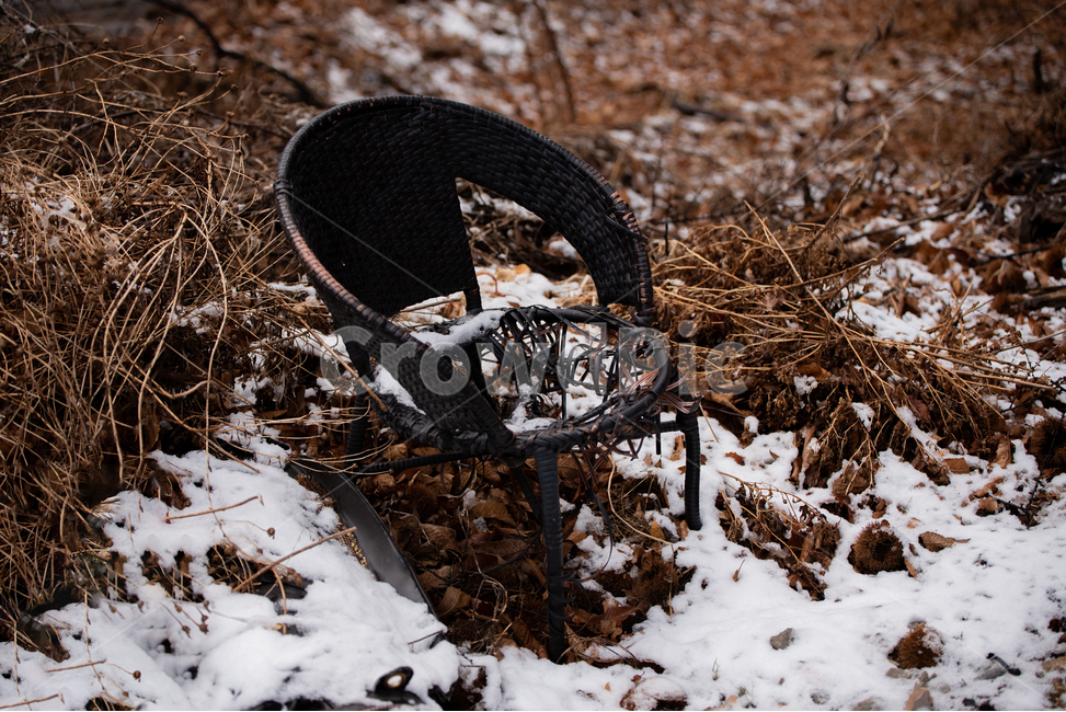 의자,컬러,눈,올드,빈티지,겨울,계절,winter,season