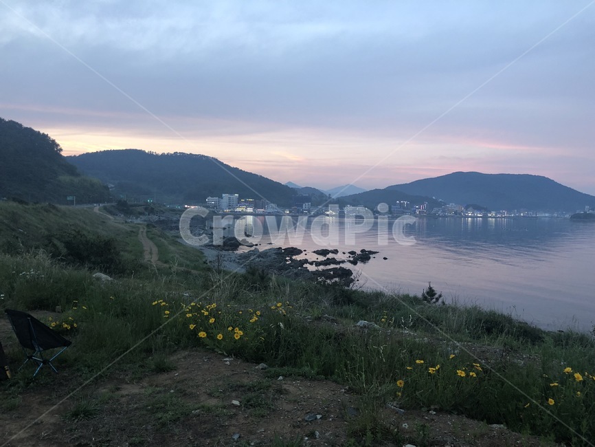 대변항,바다,항구,꽃,들꽃,잡초,노을,부산,기장,ocean,cloud,구름,flower,자연,자연,풍경,nature,landscape,outdoors,옥외,promontory,곶,water,물