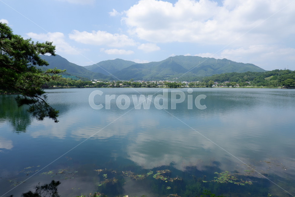 water,물,nature,자연,outdoors,옥외,lake,호수,저수지,식물,tree,natural,풍경,view,자연,풍경,nature,landscape