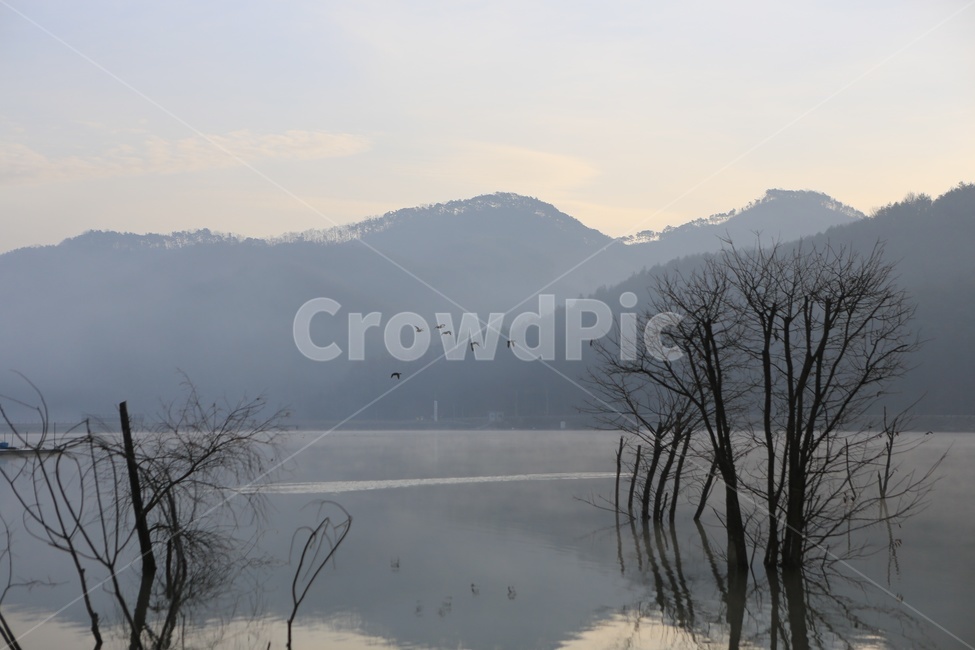 저수지,안개,새벽,물안개,괴산,문광저수지,반영,풍경,낚시터,자연,풍경,nature,landscape,한국자연풍경,한국자연경관,korea nature landscape,outdoors,옥외