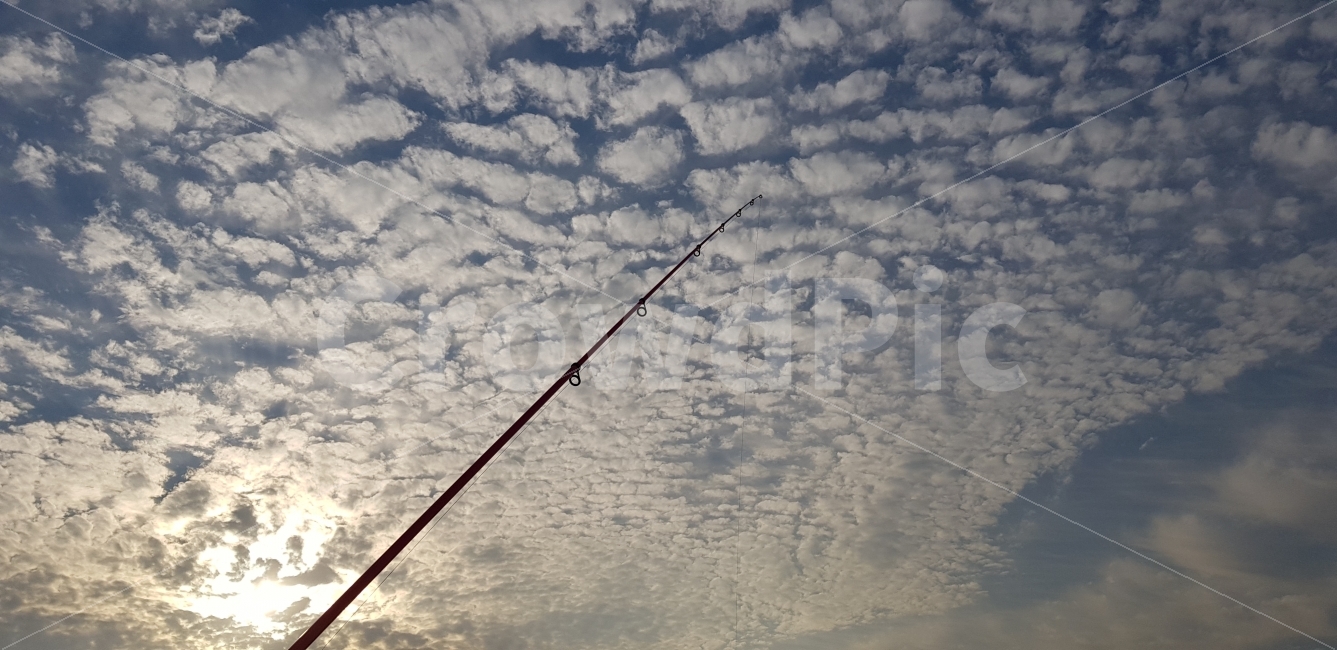 도시어부,낚시,궁평항,하늘과낚시대,하늘,자연,풍경,nature,landscape,outdoors,옥외,cloud,구름,sky,weather,날씨,cumulus,적운