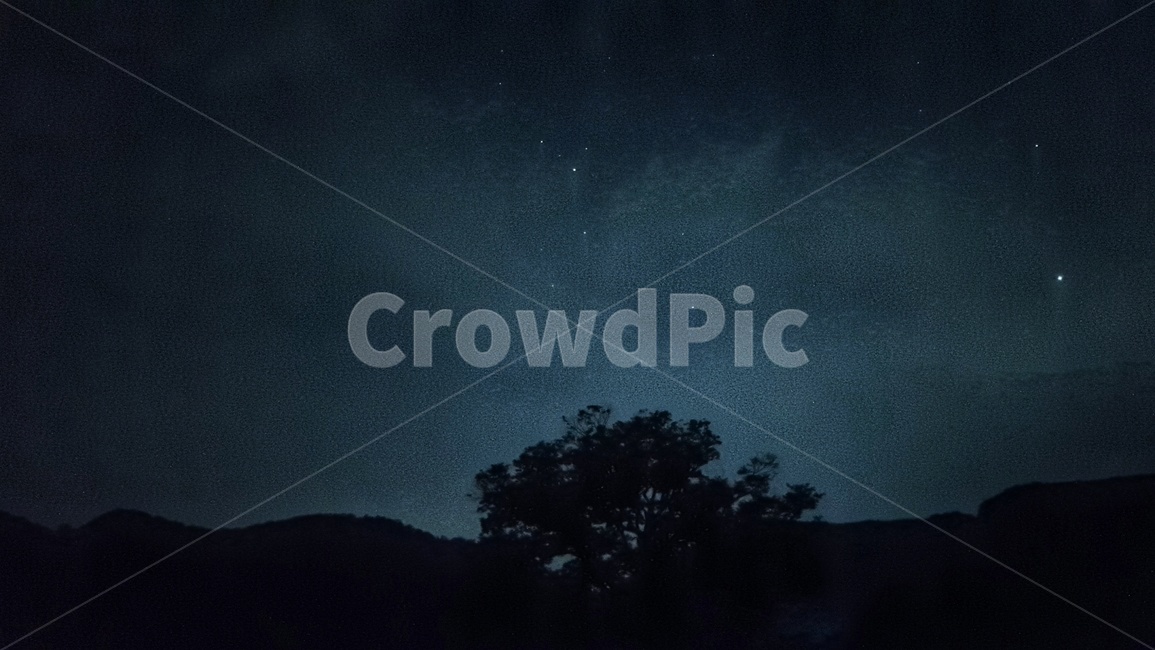 nature,자연,outdoors,옥외,별,밤,나무,야경,밤,풍경,nightscape,night,landscape