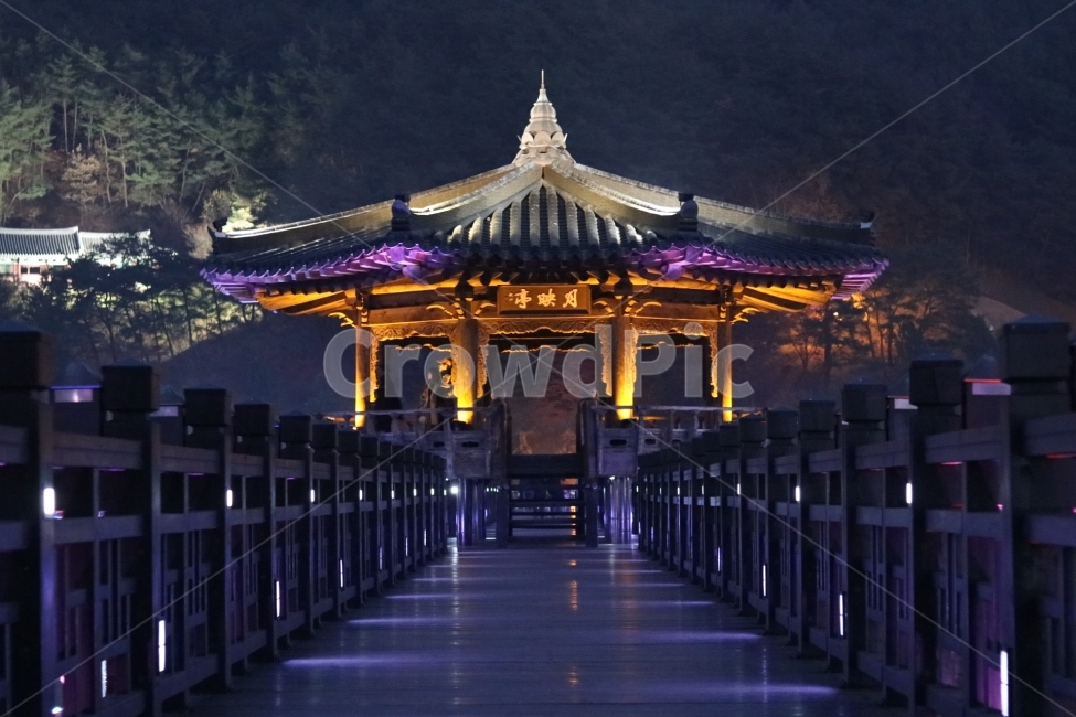 야경,안동,여행,일상,월영교,불빛,야경,밤,풍경,nightscape,night,landscape,한국전통,한국문화,korean traditional,korean culture,랜드마크,landmark,tourist attraction,한국랜드마크,한국관광지,한국명소,korea landmark,korea tourist attraction,railing,난간