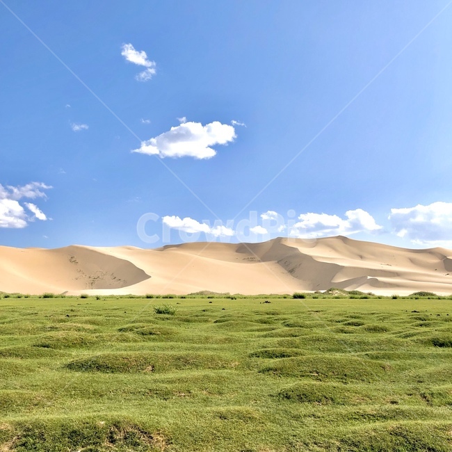 모래언덕,nature,자연,모래,sand,사막