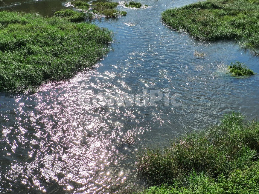 자연,물,옥외,땅,도랑,천,곤지암천,자연,풍경,nature,landscape,water,land,outdoors