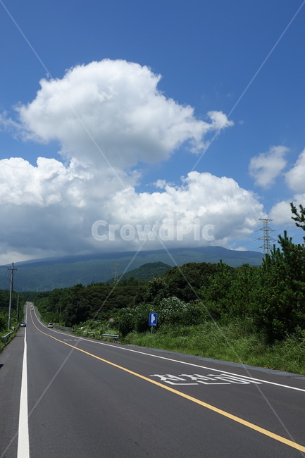 제주도,여름,도로,한라산,숲,수풀,녹색,구름,산