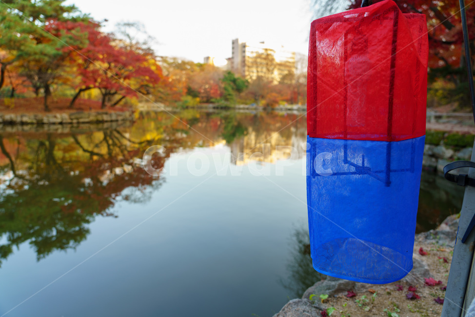등불,반영,궁,가을,단풍,조용한,호수,물,평온한,아름다운,autumn,maple,calm,water,palace,beautiful,mirror,잔잔한,창경궁,고즈넉한,낭만적인,한국전통,한국문화,korean traditional,korean culture