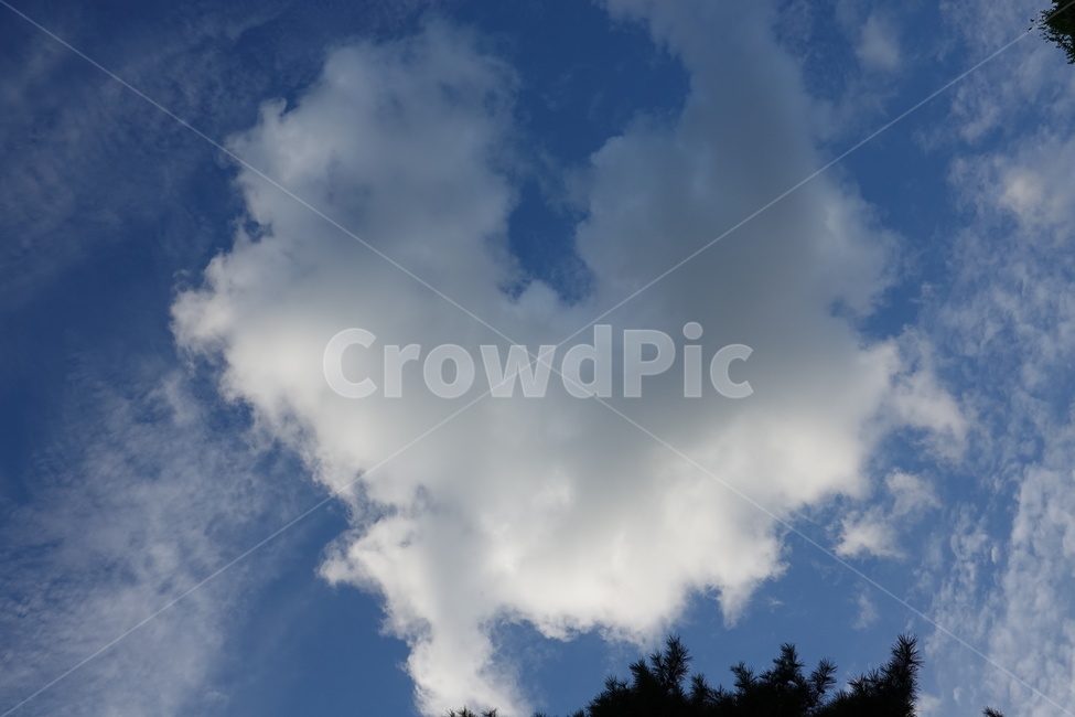 구름,하늘,sky,하늘뷰,skyview,cloud,가을하늘,자연,풍경,nature,landscape,outdoors,옥외,weather,날씨,cumulus,적운