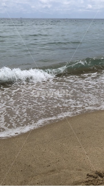 파도,해수욕장,해변,바다,여름