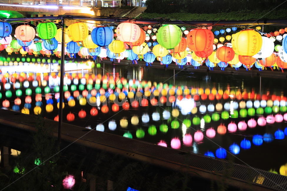 연등,반영,부처님오신날,석가탄신일,야경,축제,야경,밤,풍경,nightscape,night,landscape,종교,신앙,religion,belief,faith,축제,행사,festival,carnival,event,기념일,축하,anniversary,congratulation,celebrate,celebration,lighting,조명