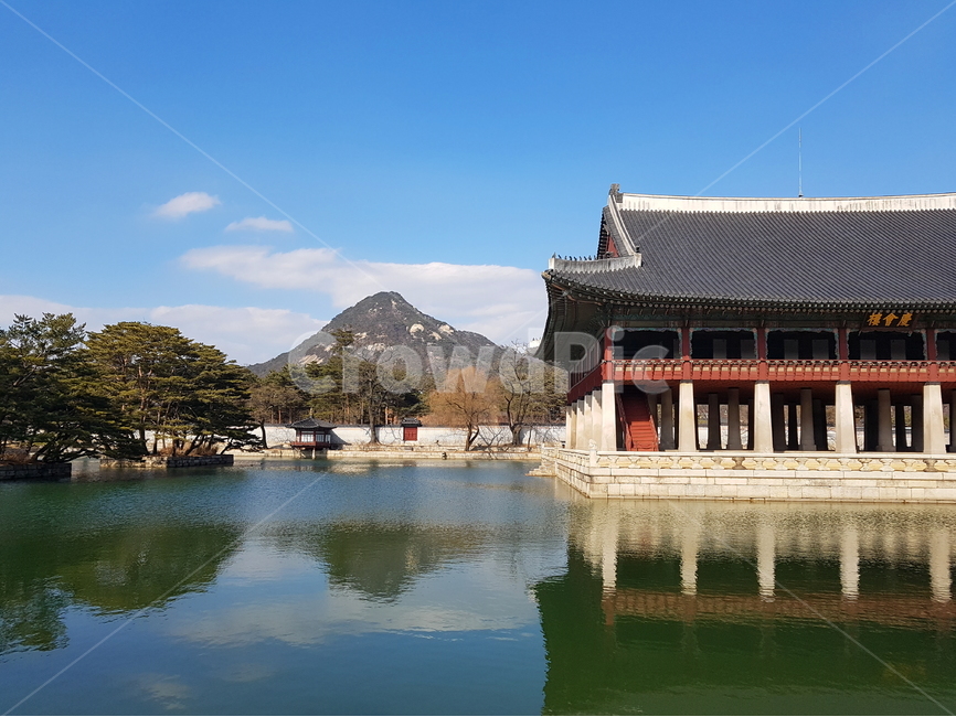 경복궁,연못,자연,한국의건축물,한국의자연풍경,한국의수도,서울,파란하늘,한국의미,한국,전통,문화,조화,궁,왕궁,기와,한옥,아름다움,landscape,king,koreantraditional,koreanculture,water,house,seoul,korean,nature,palace,맑은날의궁궐풍경,나무,구름,하늘,한국전통,한국문화,korean traditional,korean culture,랜드마크,landmark,tourist attraction,한국랜드마크,한국관광지,한국명소,korea landmark,korea tourist attraction,건축물,건물외관,exterior,building,structure,architecture,construction