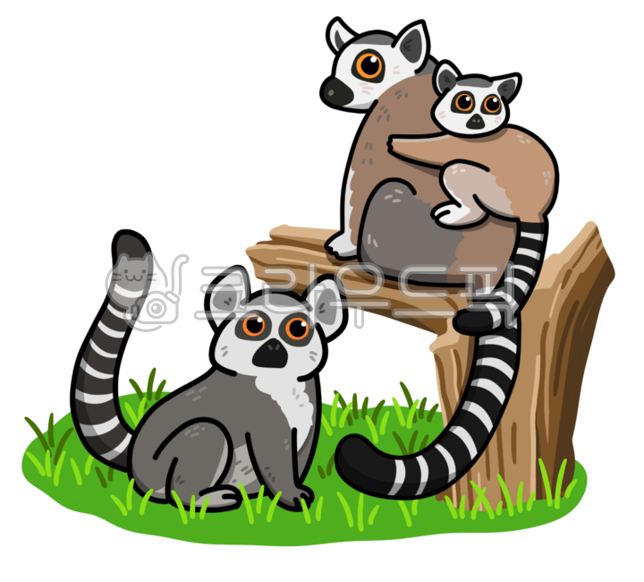 lemur,monkey,reamer,animal,tigertailed monkey