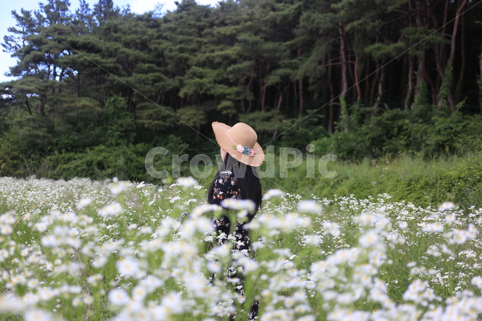 개망초,계란꽃,꽃밭의여자,흰꽃무리,산책,풍경,여성,여자,woman,female,lady
