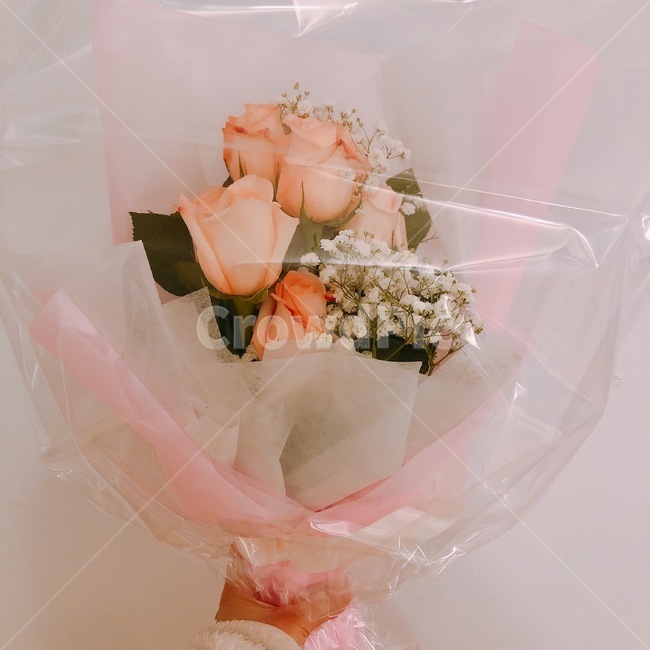 꽃,장미,분홍,감성,꽃다발