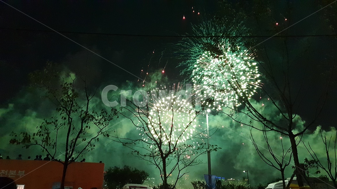 nature,outdoors,night,fireworks,옥외,불꽃,여의도,축제,나무,자연,빛,플레어,light,flare,축제,행사,festival,carnival,event