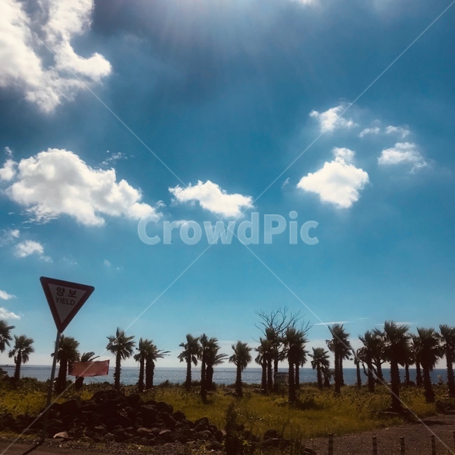nature,풍경,하늘,제주도,외국느낌,abroad,sky,자연,풍경,nature,landscape,outdoors,옥외